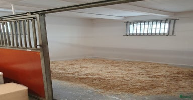  stallplats i Dösjebro - Annons 12