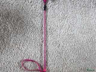 Övrig utrustning övrig utrustning till salu: Rosa allroundspö i Kil - Annons 2