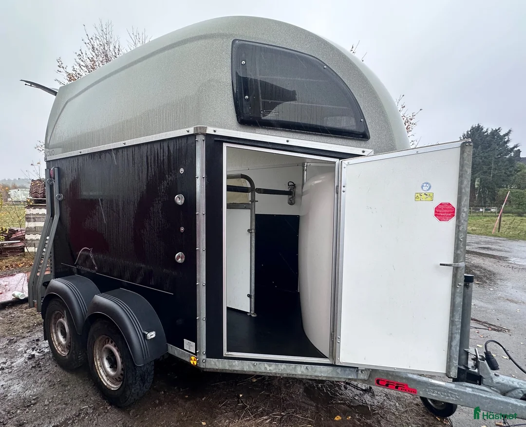 Hästtransporter  fordon & transport till salu: Böckmann DUO R i Falkenberg - Annons 2