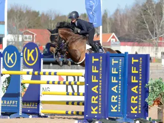 hästar Fantastiskt fint avelssto - Annons 3