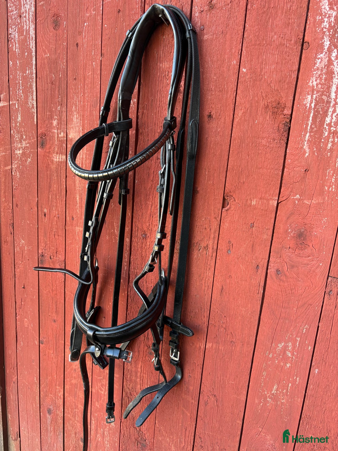 Träns hästutrustning till salu: Fint träns i Örebro - Annons 1