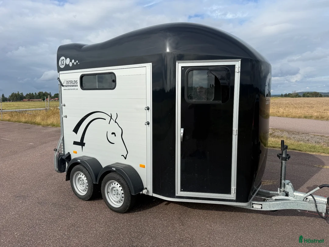 Hästtransporter  fordon & transport till salu: Cheval Gold3 -25 Momsad! - Annons 2