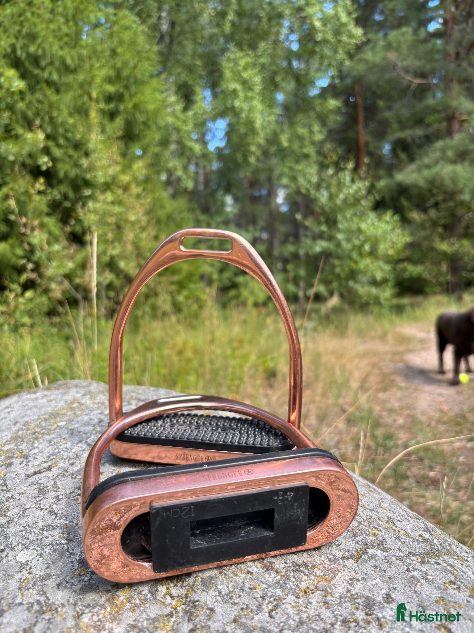 Stigbyglar hästutrustning Stigbyglar Rosé  - Annons 3