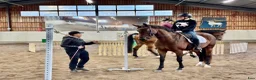  stallplats finnes: Sjövillans gård, stallet vid Mälarens strand! - Annons 8
