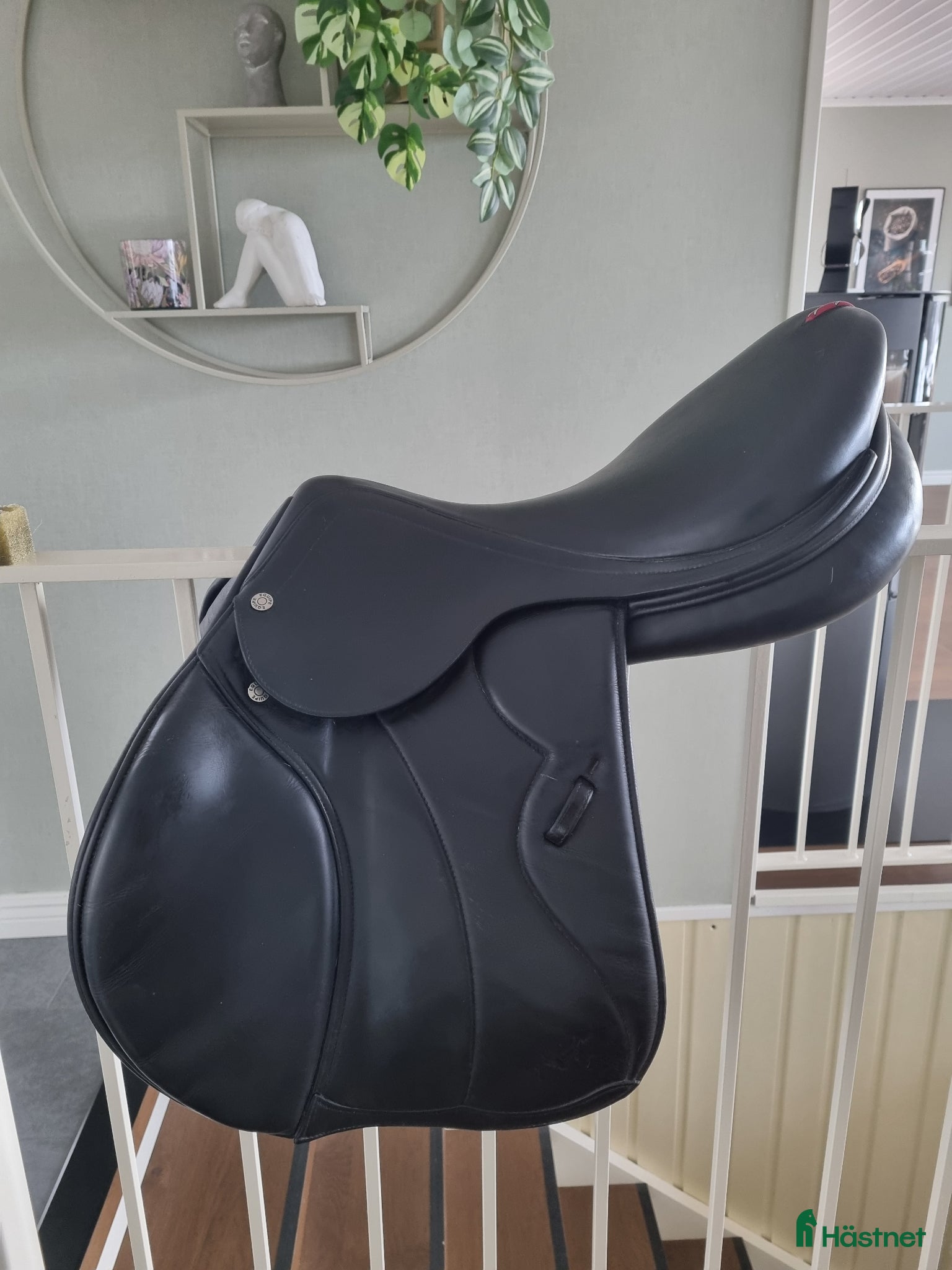 Sadlar hästutrustning Equipe Synergy 17.5 N +2 M - Annons 1