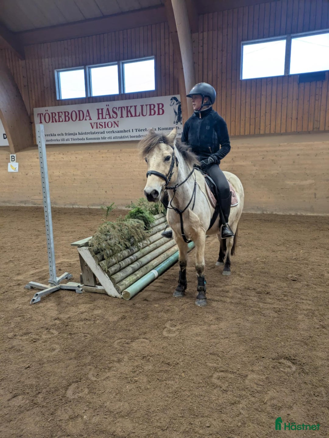 Allround hästar till salu: Tävlingsponny för hoppning och dressyr i Skövde - Bild 5