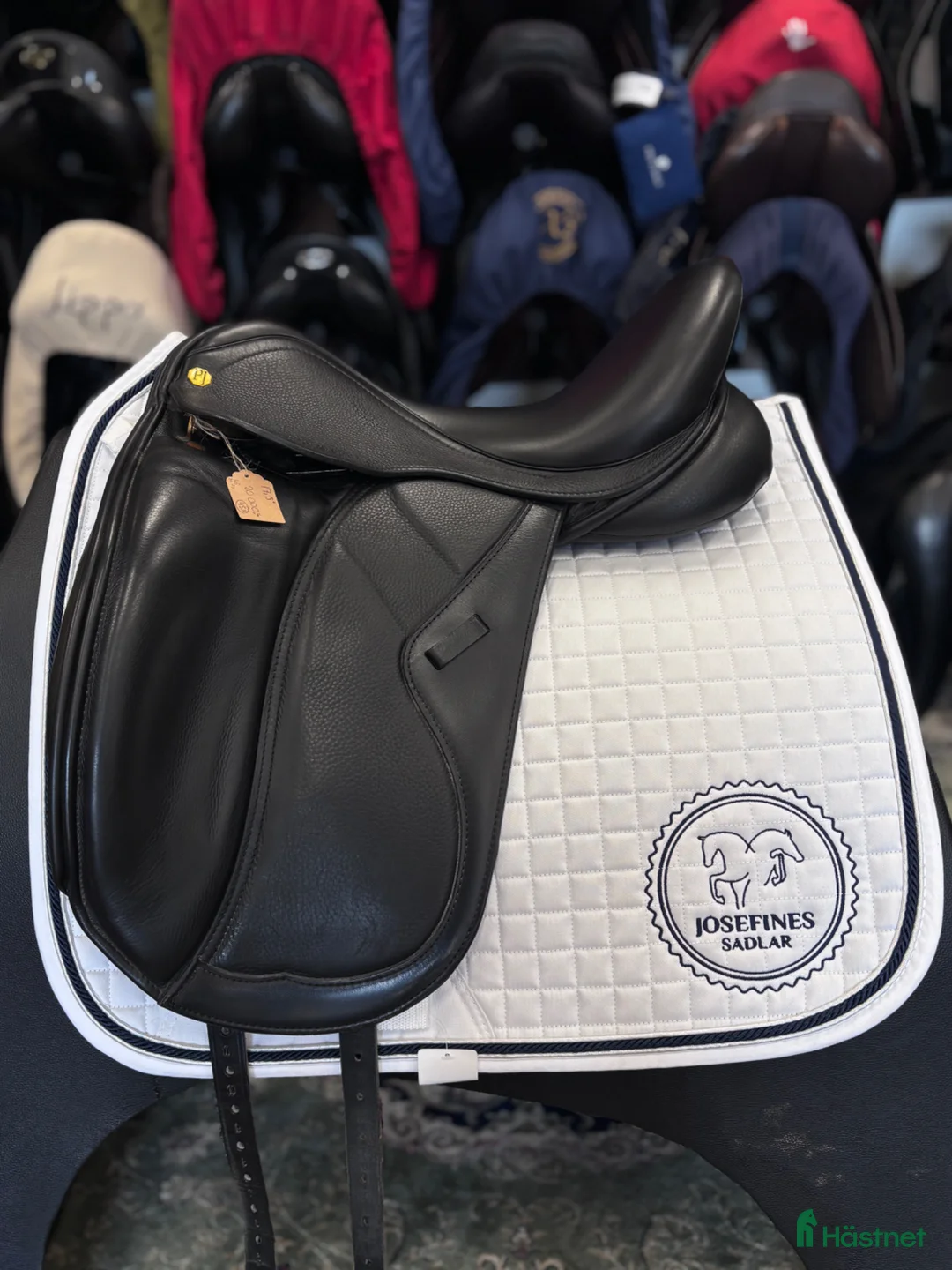 Sadlar hästutrustning till salu: Paul Jones  i Hova - Annons 1