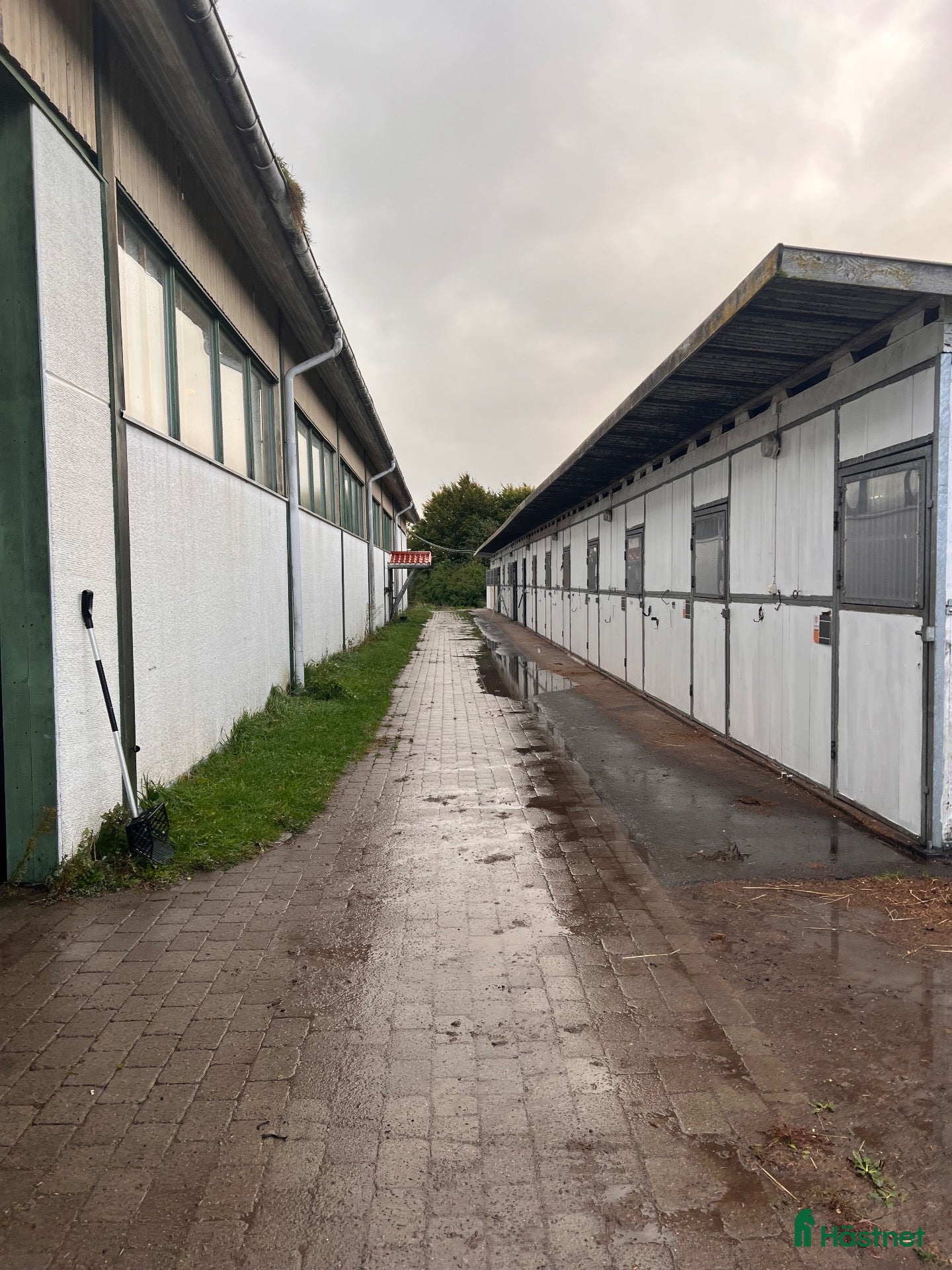  stallplats Stallplats finnes - Annons 5