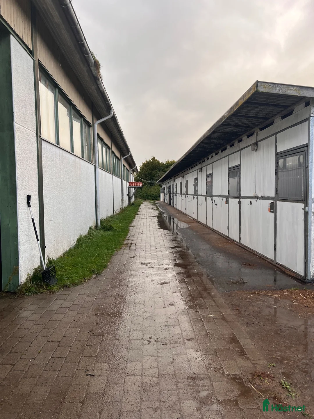  stallplats finnes: Stallplats finnes - Annons 1