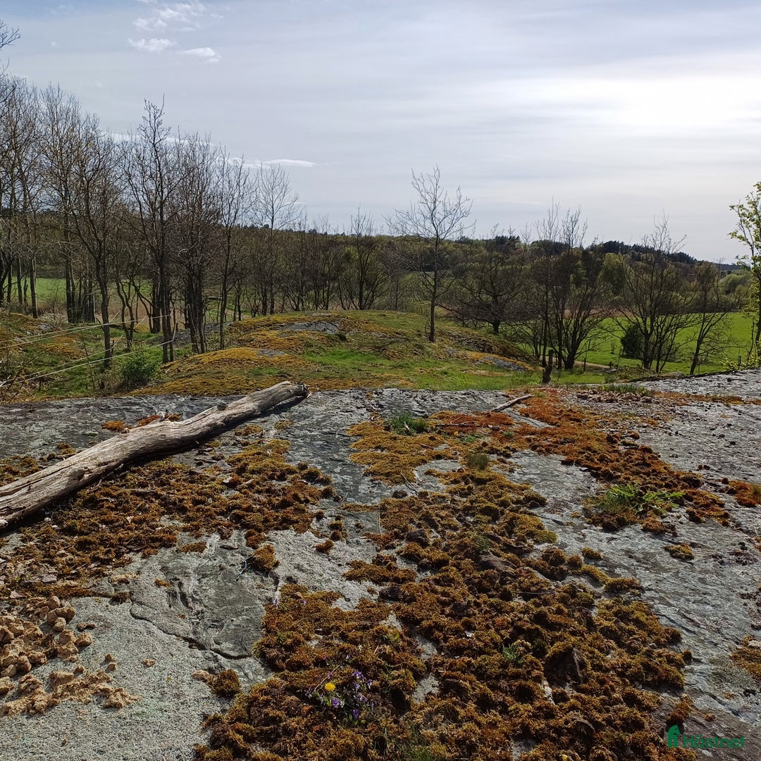  stallplats finnes: Lösdrift i Torslanda - Annons 10