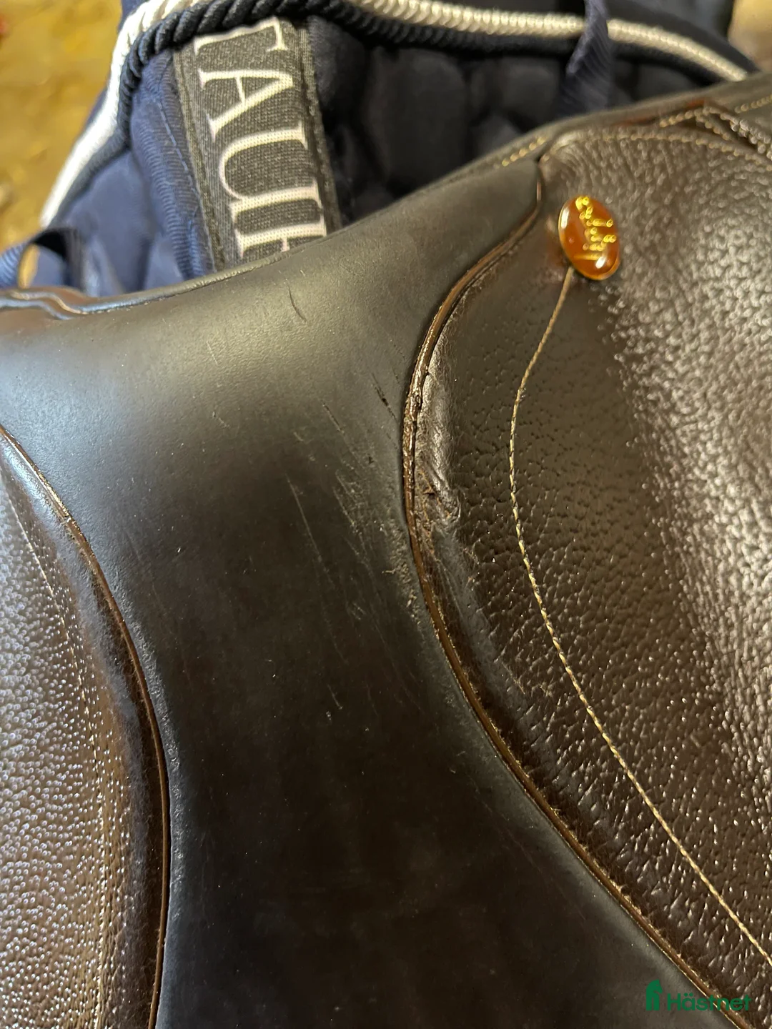 Sadlar hästutrustning till salu: Lippo Enzo i Hova - Annons 3