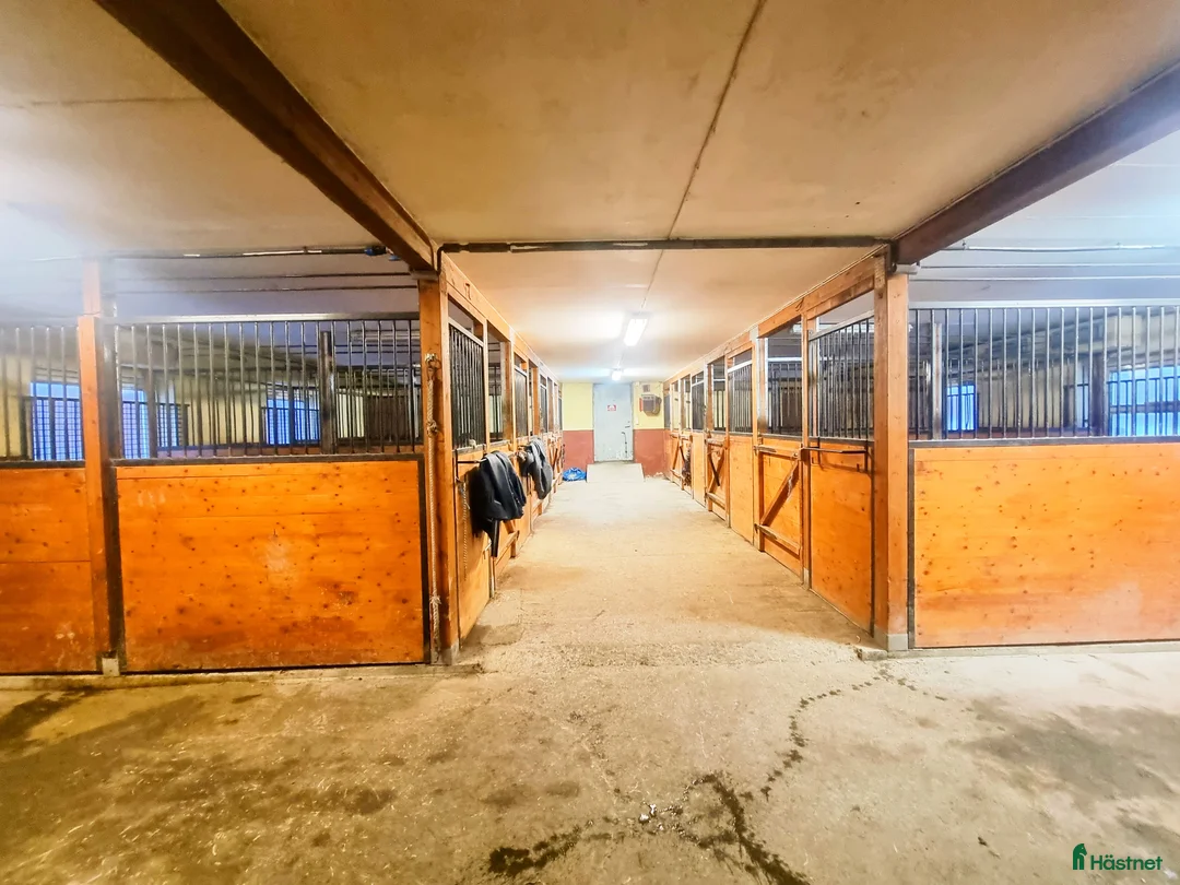  stallplats finnes: Stallplats islandshäst/ponny  - Annons 1