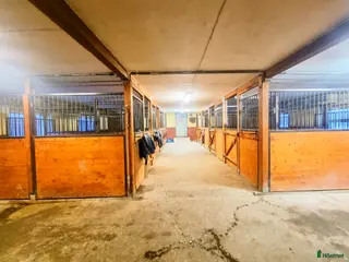 stallplats finnes: Stallplats islandshäst/ponny - Annons 1