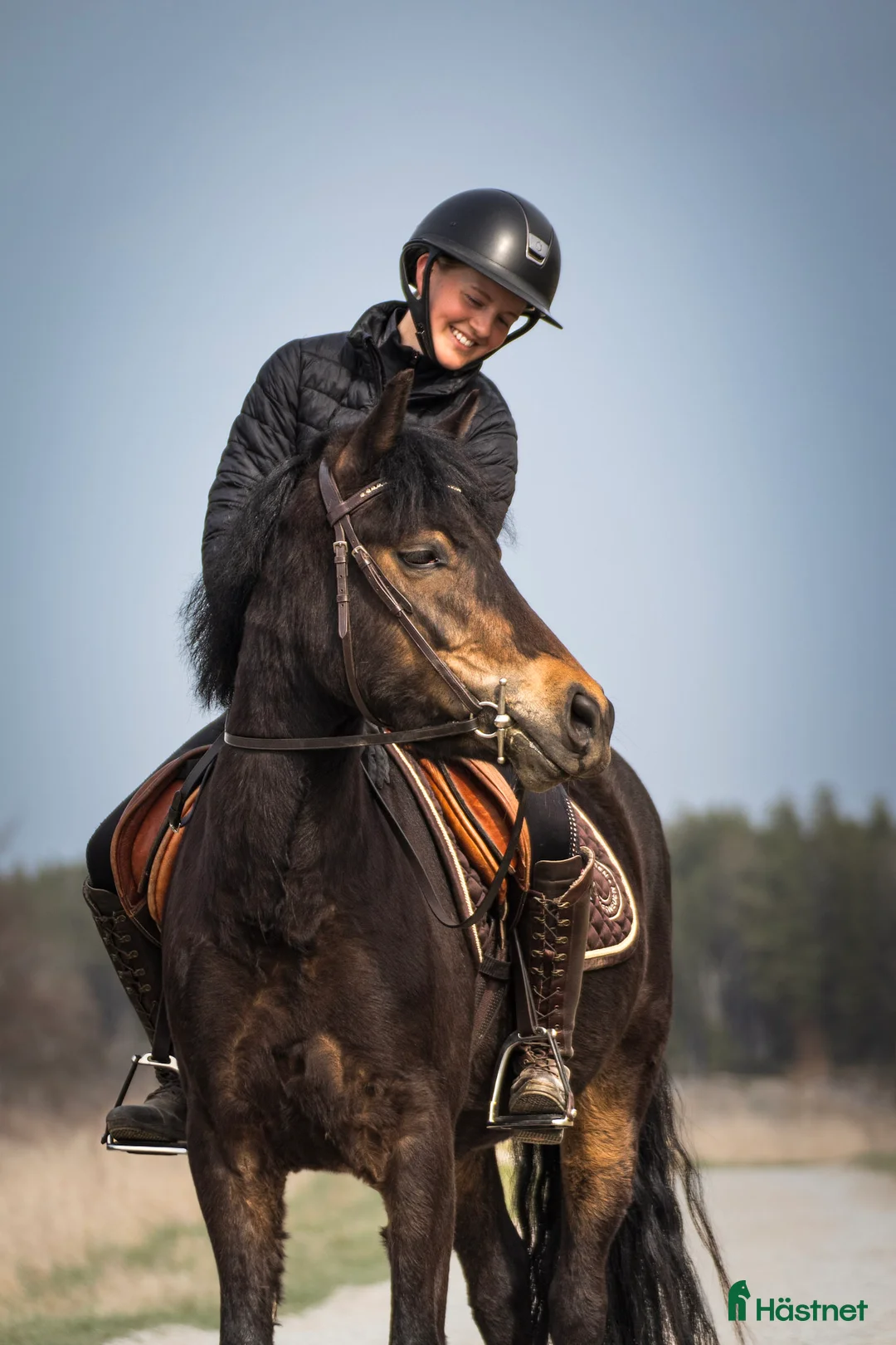 Allround hästar till salu: Rans Leon  i Vendelsö - Annons 3