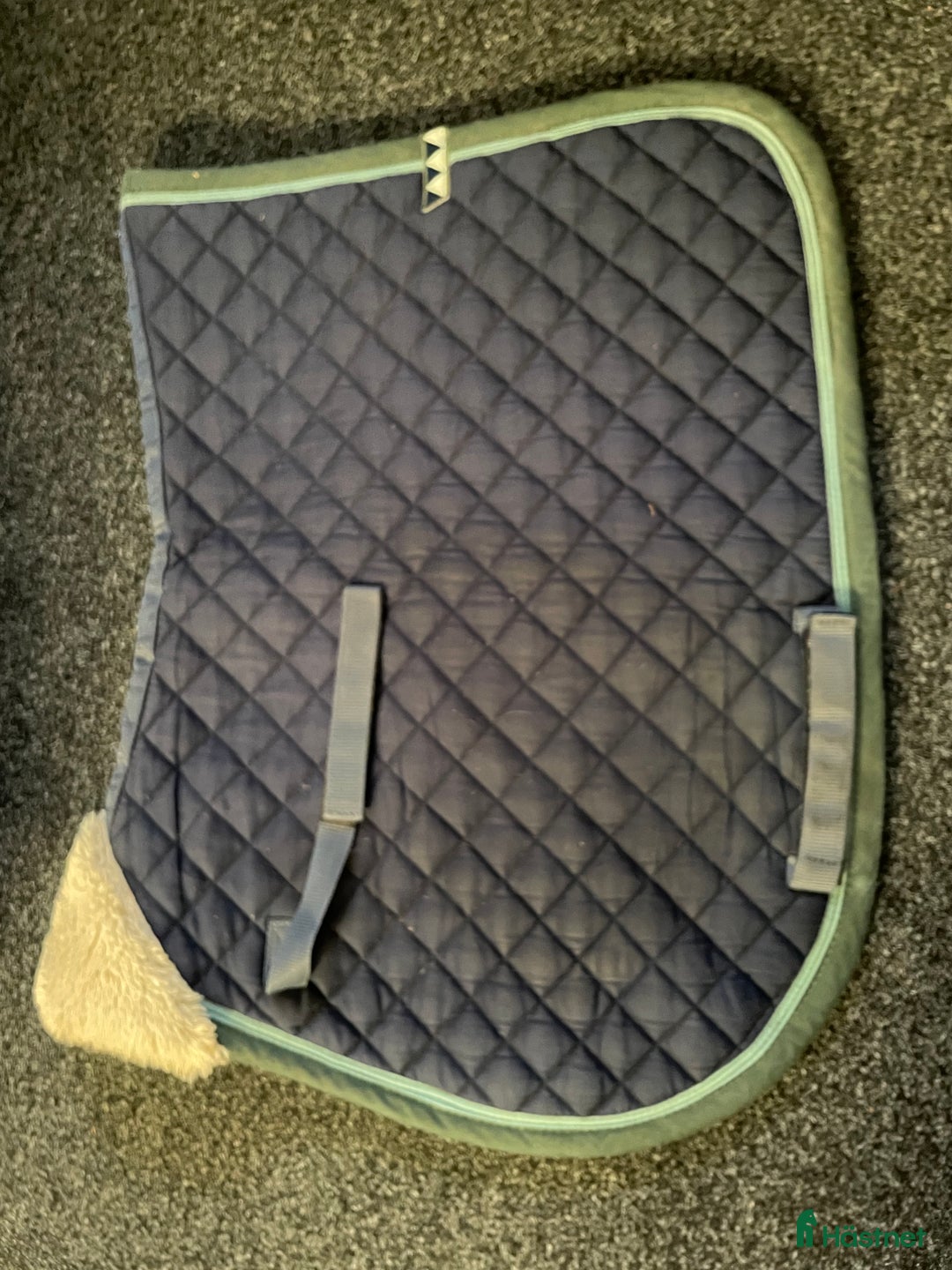 Schabrak & Vojlockar hästutrustning till salu: Get the gallop schabrak i Tullinge - Annons 1