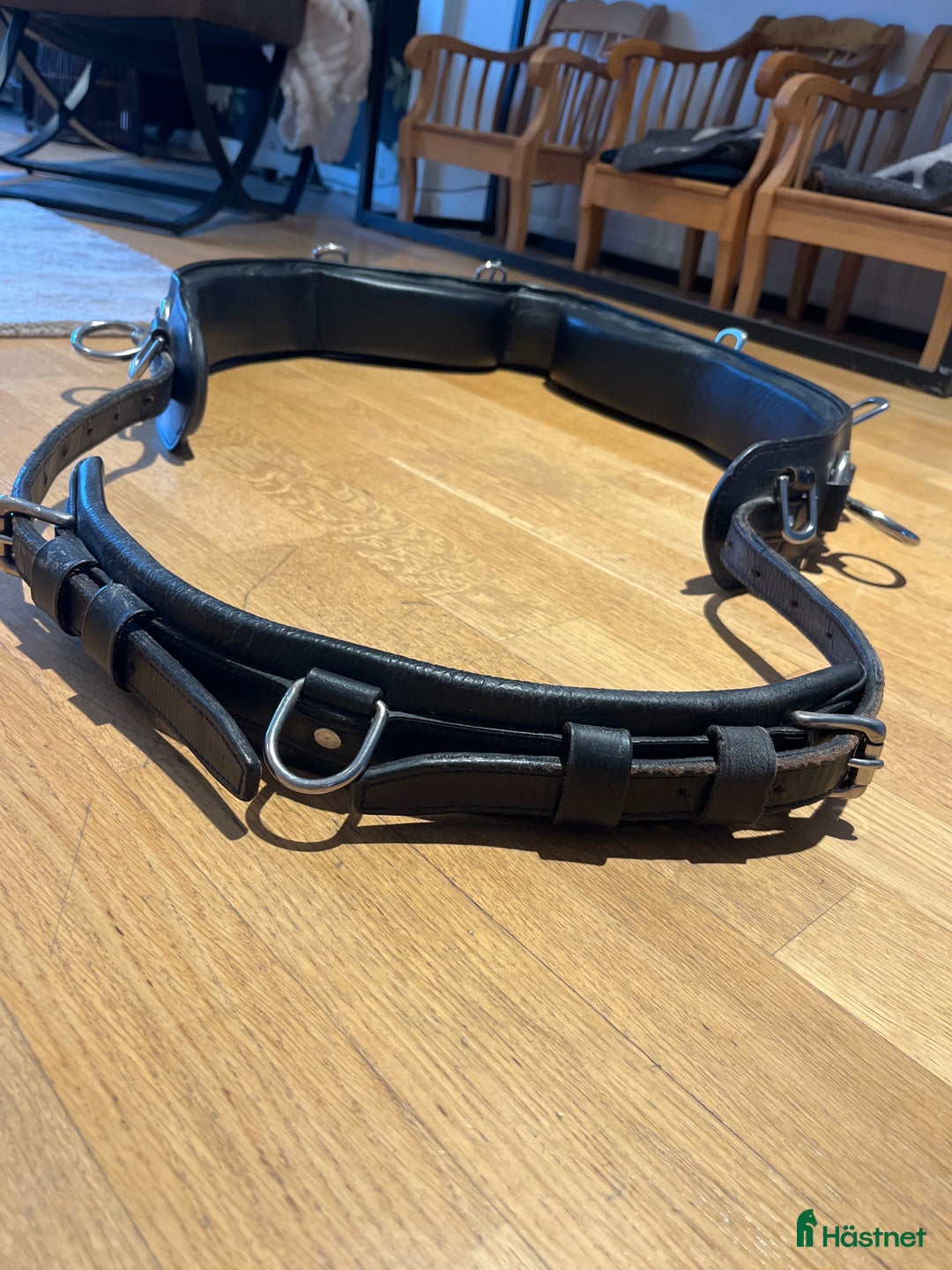 Övrig Hästutrustning hästutrustning till salu: Tömkörningsgjord  i Åkersberga - Annons 4