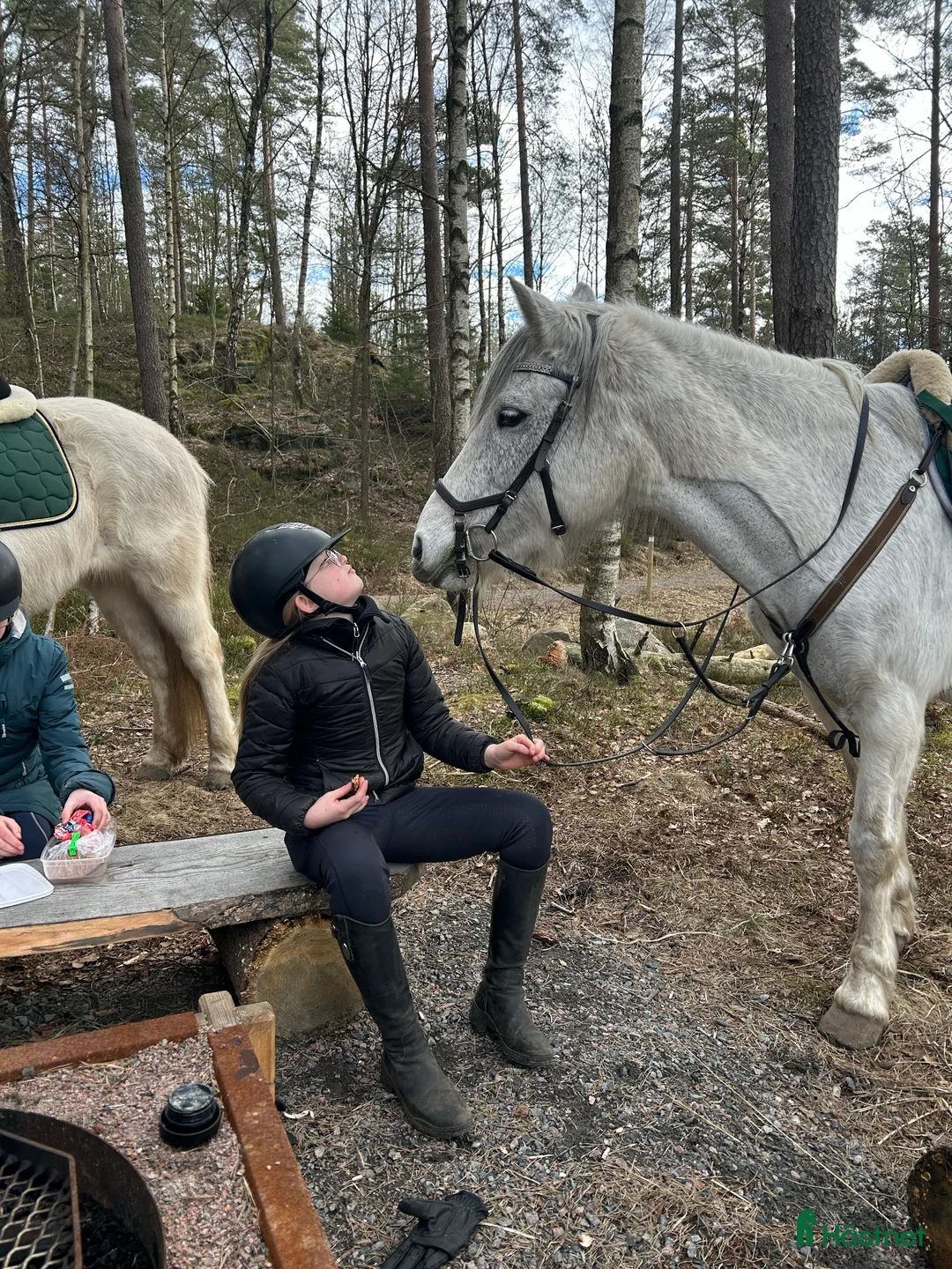 Galleribild {{count}}