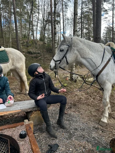 Galleribild {{count}}