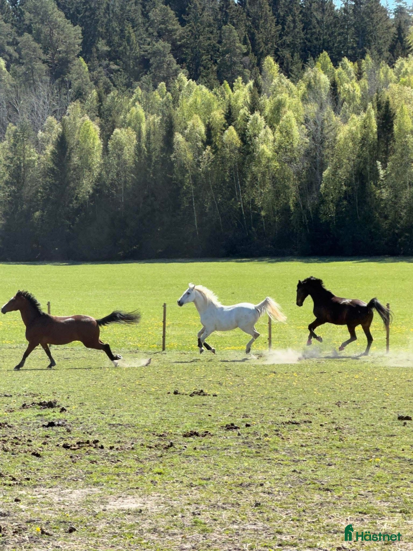  stallplats Stallplats finns utanför Södertälje - Annons 5