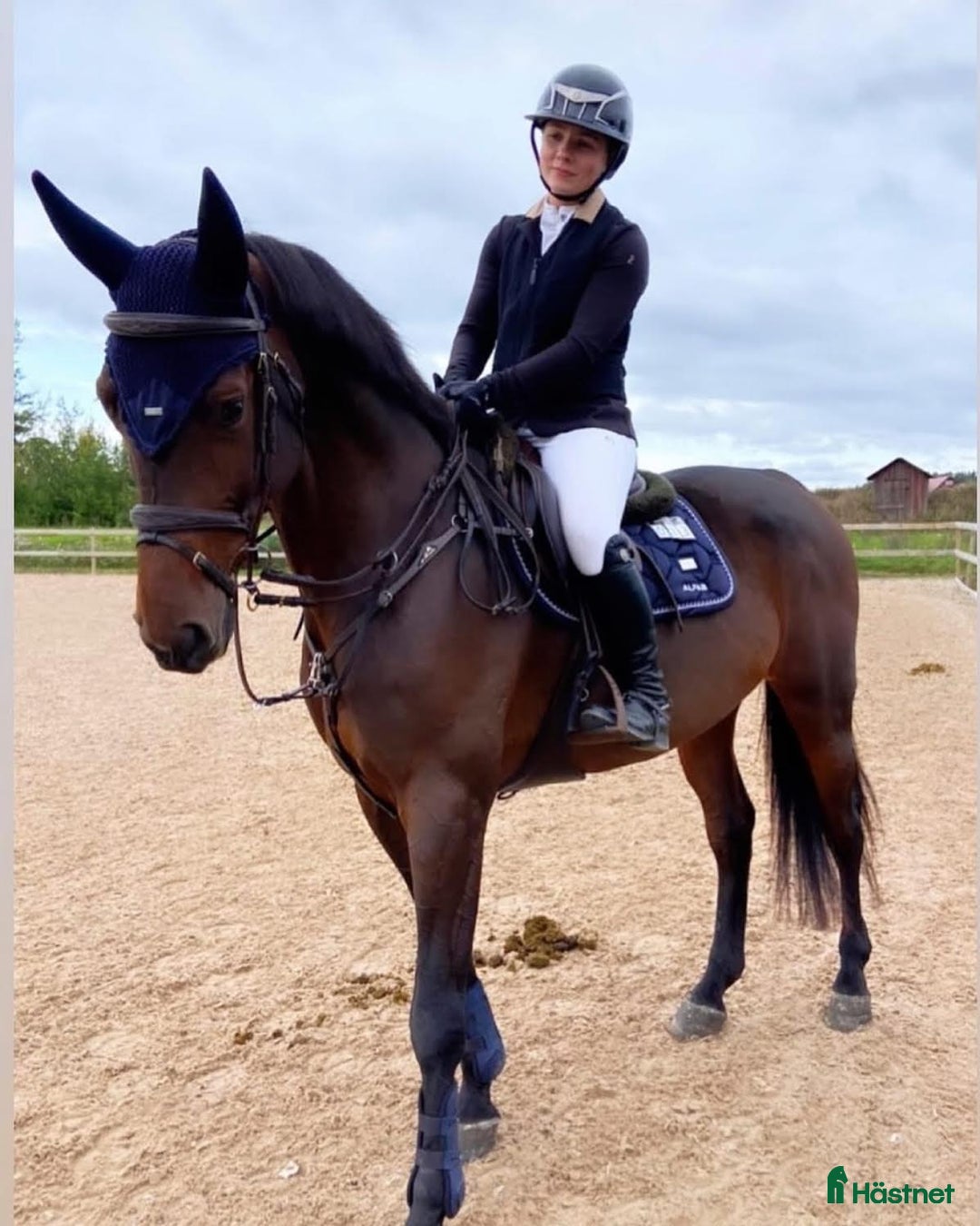  hästservice finnes: Vill du ha hjälp med din häst? i Bålsta - Annons 2