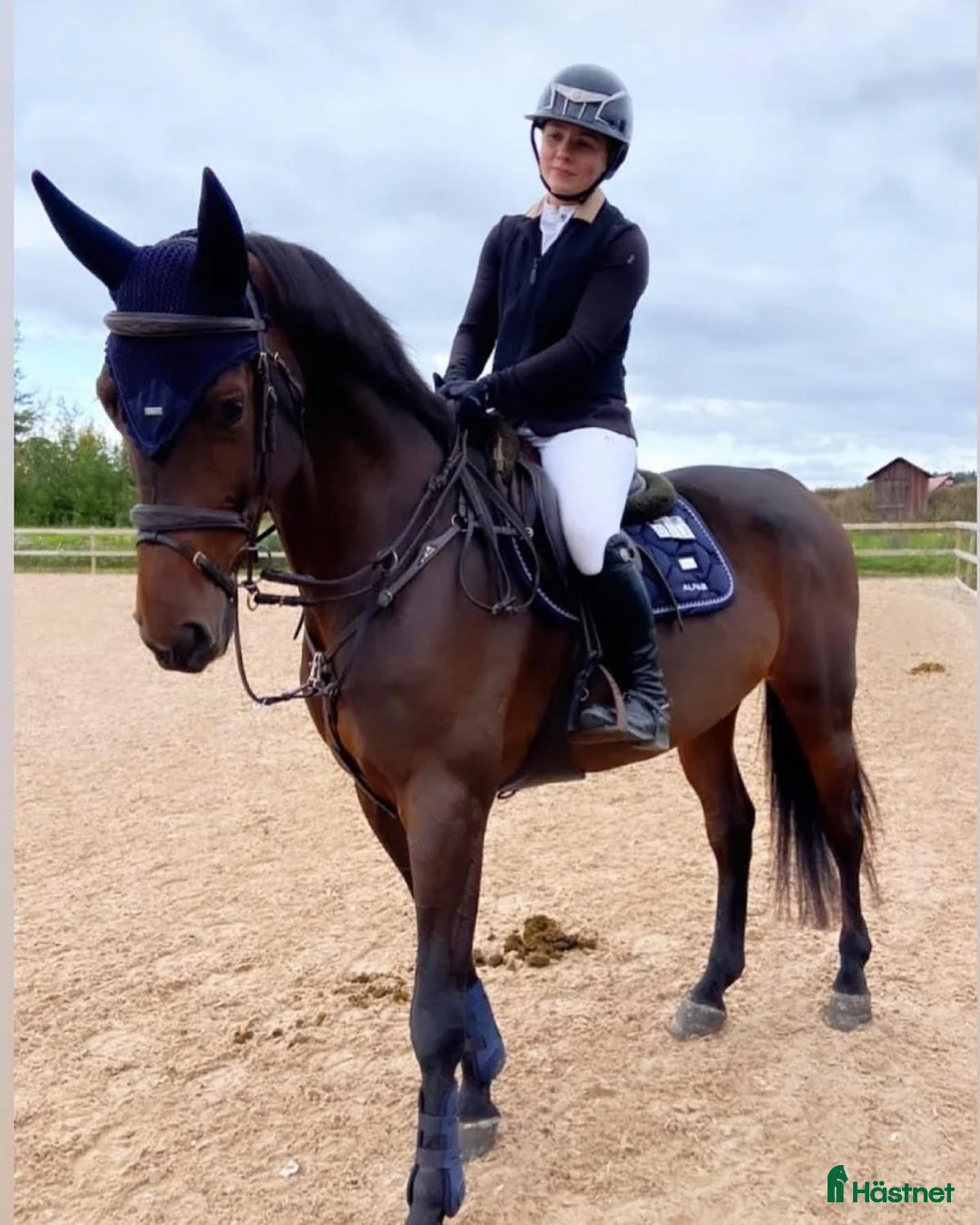  hästservice finnes: Vill du ha hjälp med din häst? - Annons 2