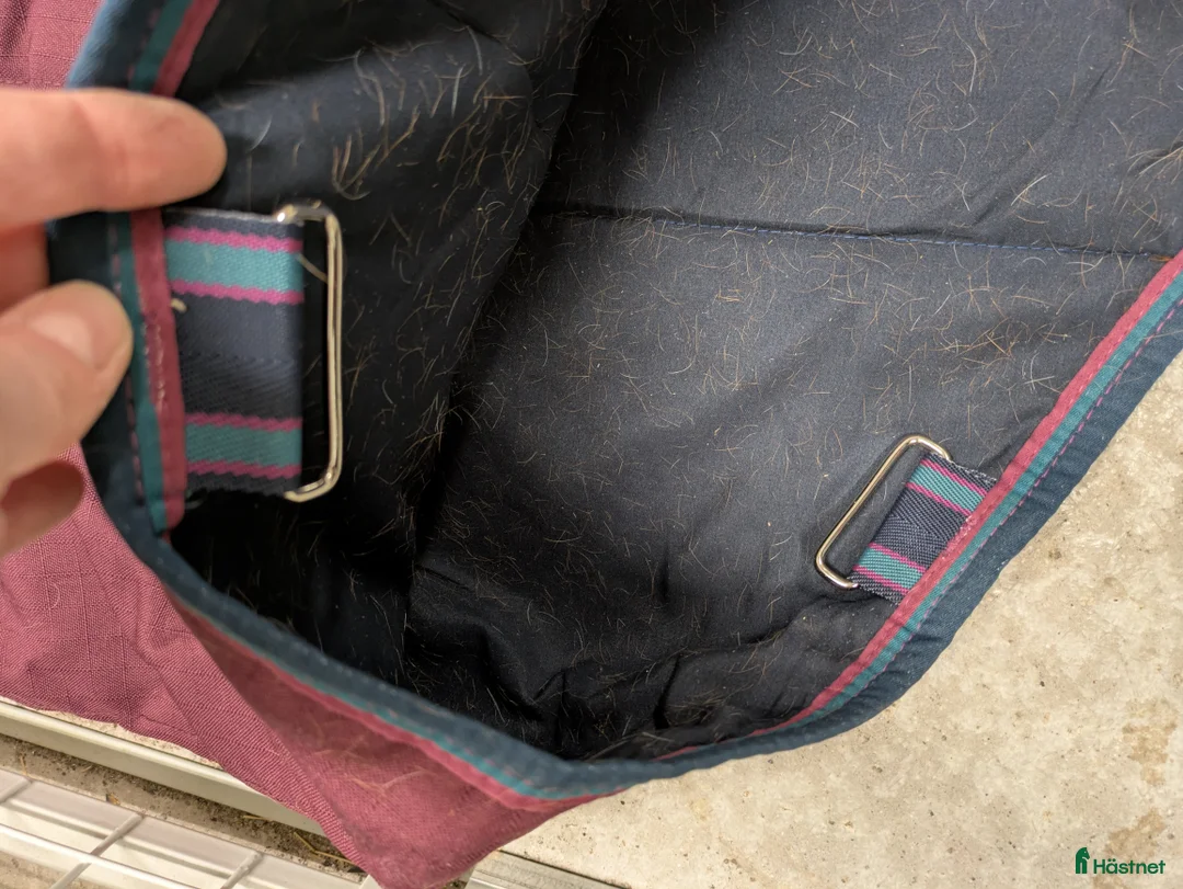 Täcken hästutrustning till salu: Rambo Horseware stalltäcke 100 gr, strl 145 cm - Annons 4