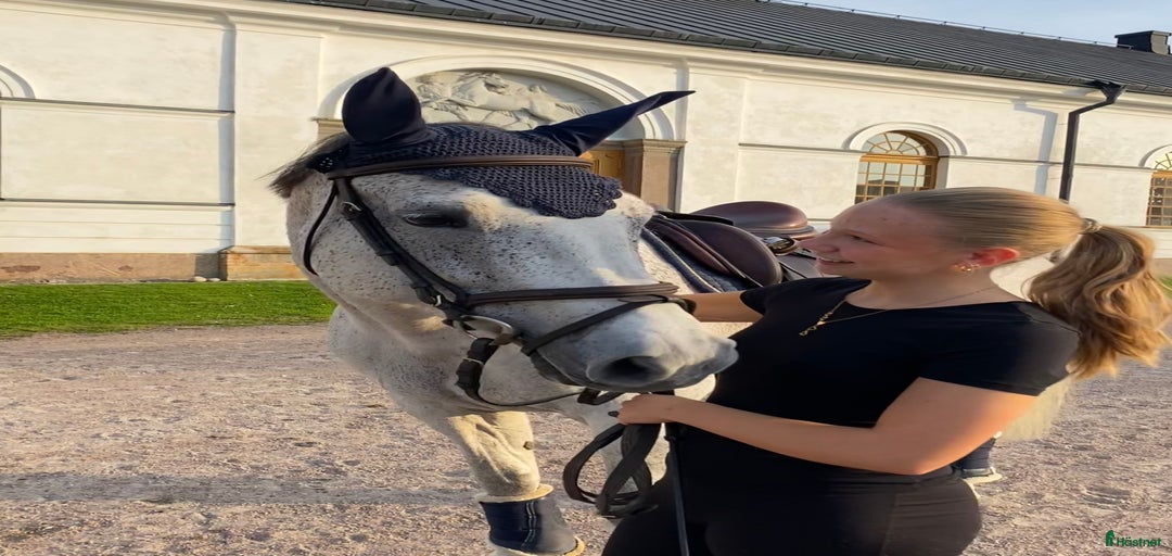 Galleribild {{count}}