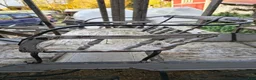 Körvagnar körning till salu: Fin äldre hästvagn  - Annons 5