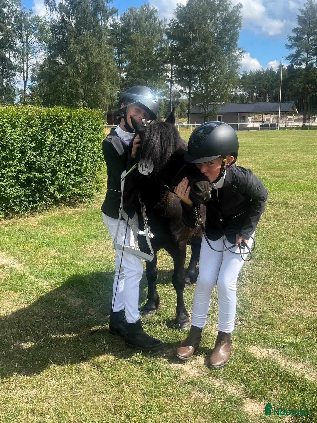 Allround hästar till salu: Barnens bästa vän i Trelleborg - Annons 14