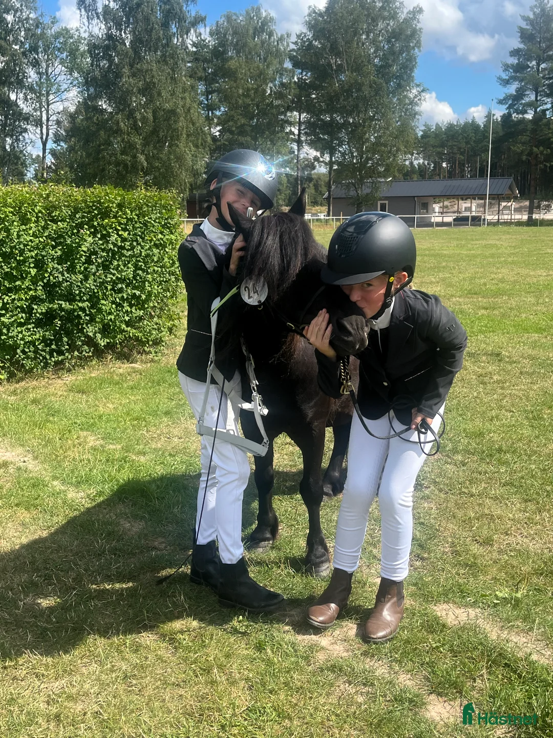 Allround hästar till salu: Barnens bästa vän i Trelleborg - Annons 14