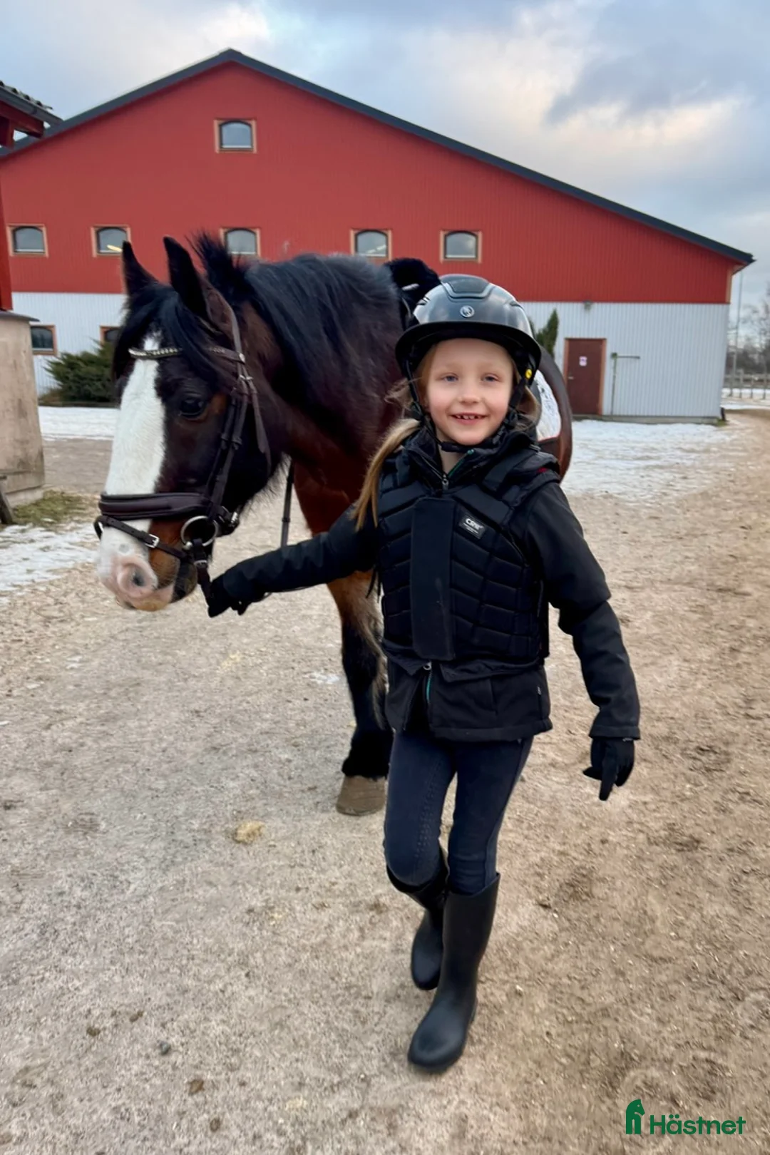 Allround hästar sökes: Ponny på foder i Skåne - gärna för ev köp i Lomma - Annons 1