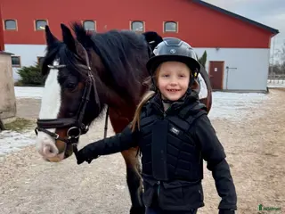 hästar Ponny på foder i Skåne - gärna för ev köp - Annons 1