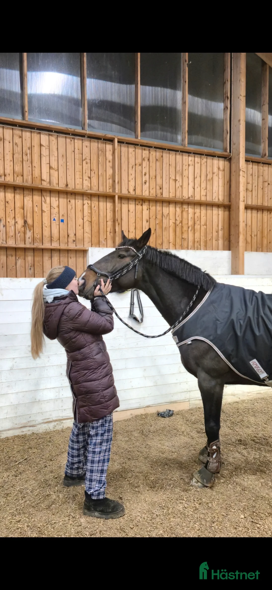 Hoppning hästar till salu: Lovande D-ponny med hjärta och potential 🌟 - Annons 2