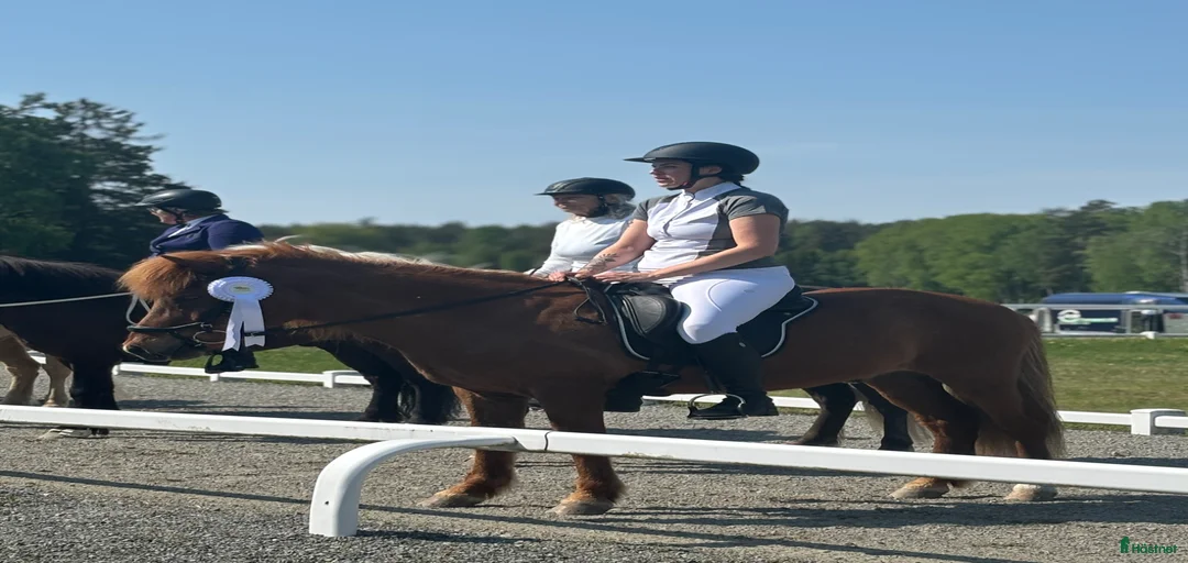 Galleribild {{count}}