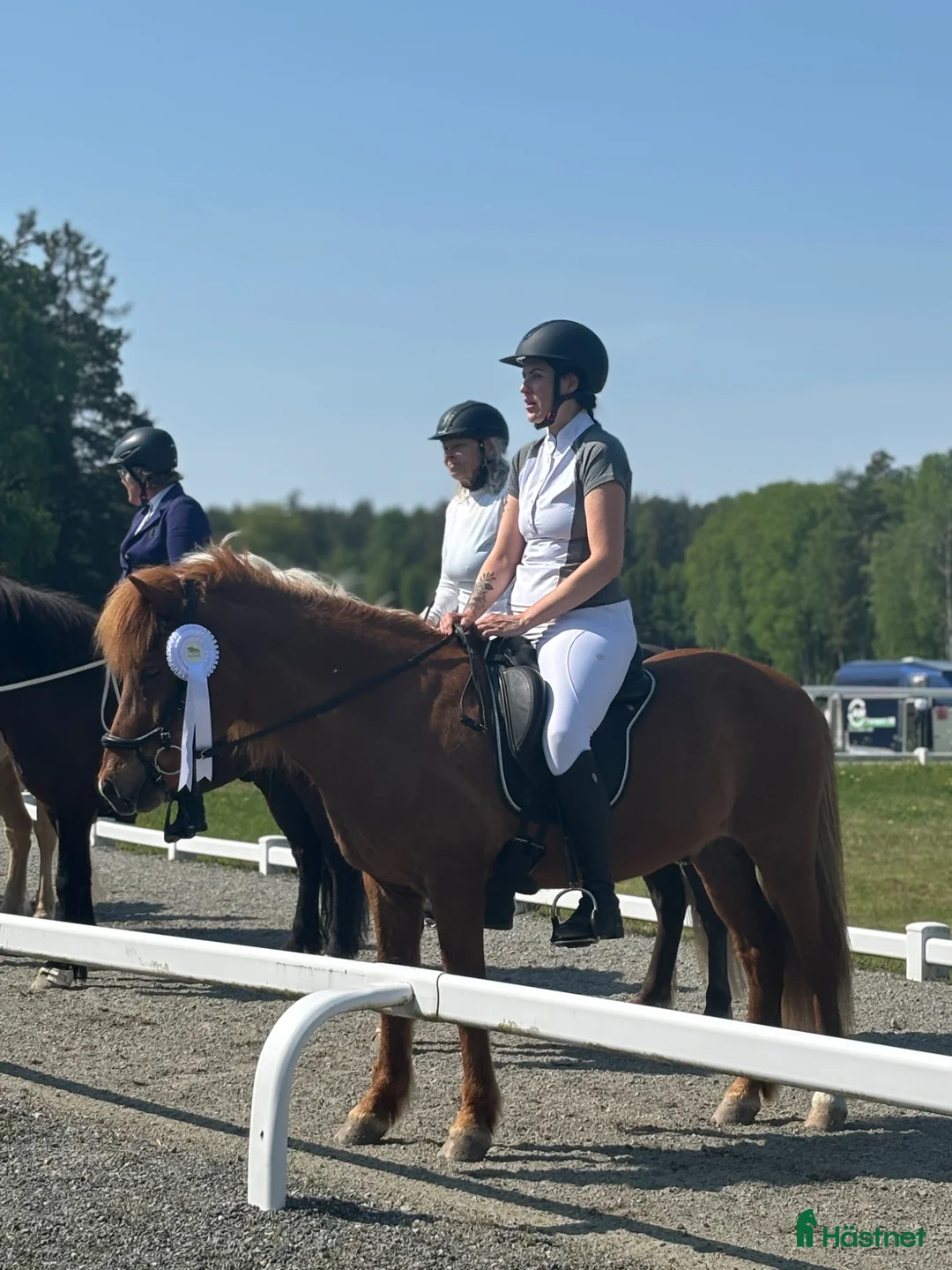 Galleribild {{count}}