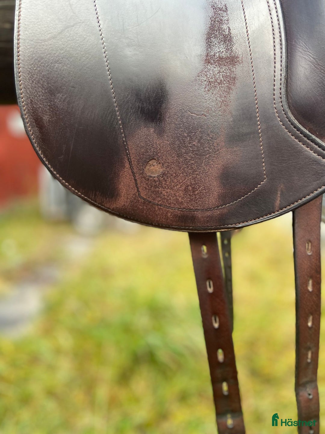 Sadlar hästutrustning till salu: Equipe Emporio  i Ekerö - Annons 4