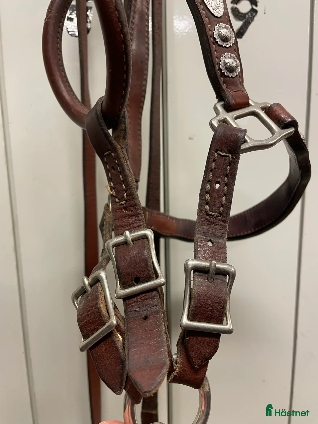 Övrig Hästutrustning hästutrustning till salu: Haltergrimma Showgrimma i Karlstad - Annons 6
