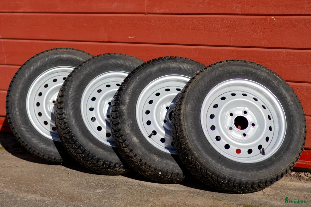 Hästtransporter  fordon & transport till salu: 2024 Cheval Liberté Gold 3 i nyskick i Vårgårda - Annons 9