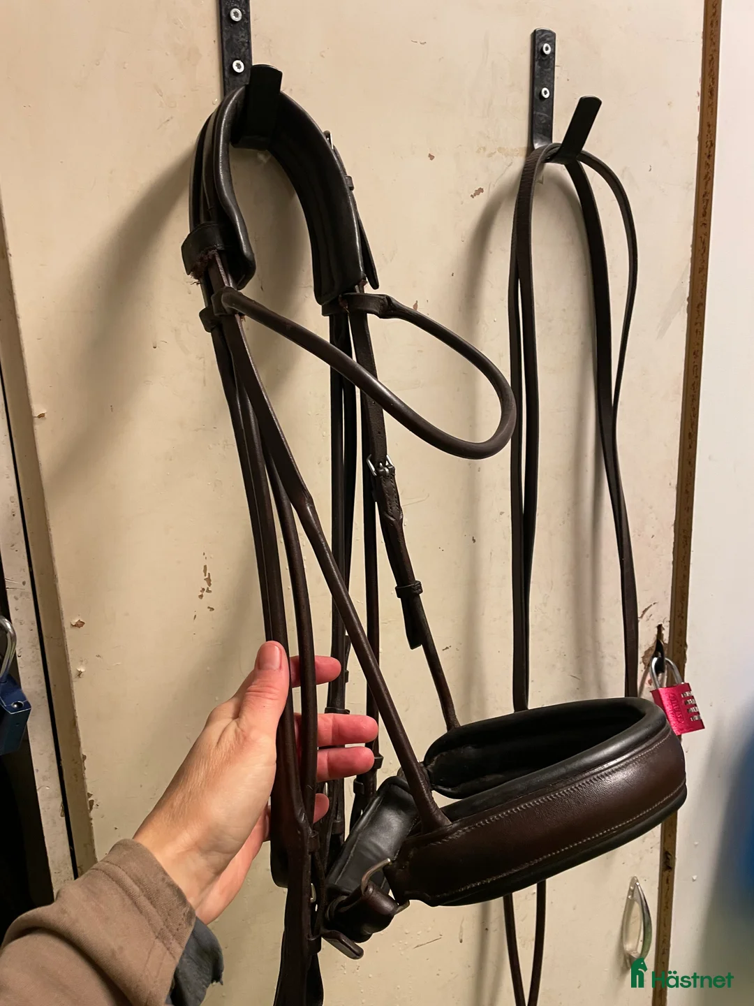 Träns hästutrustning till salu: Rundsytt kandar från Passier  - Annons 3