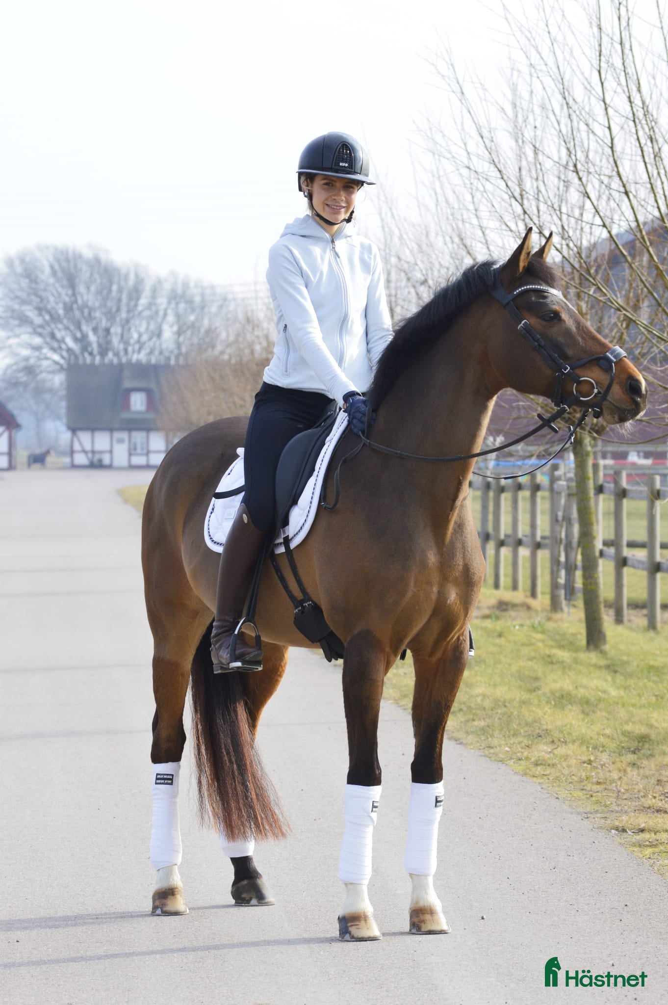  hästar Den roliga ponnyn du kan göra allt med! - Annons 14