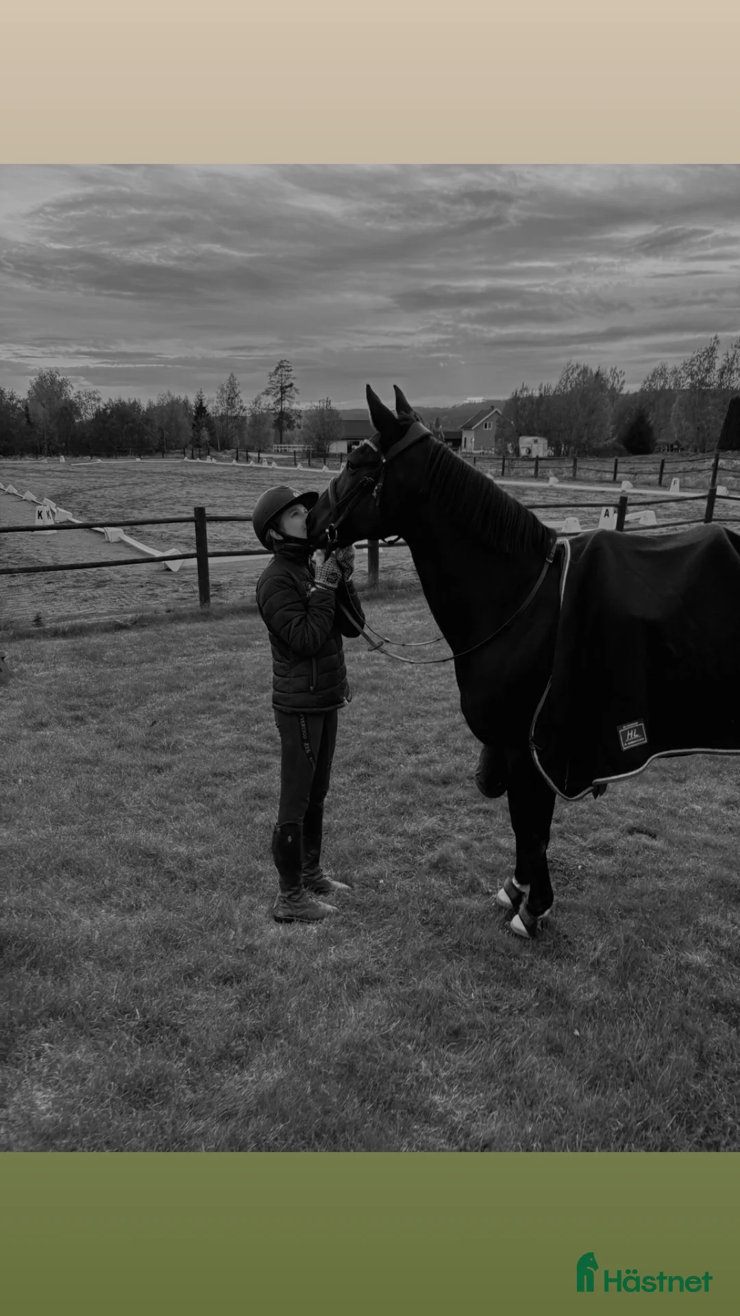Hoppning hästar sökes: 13 års jente søker D-ponny i Hønefoss - Annons 5