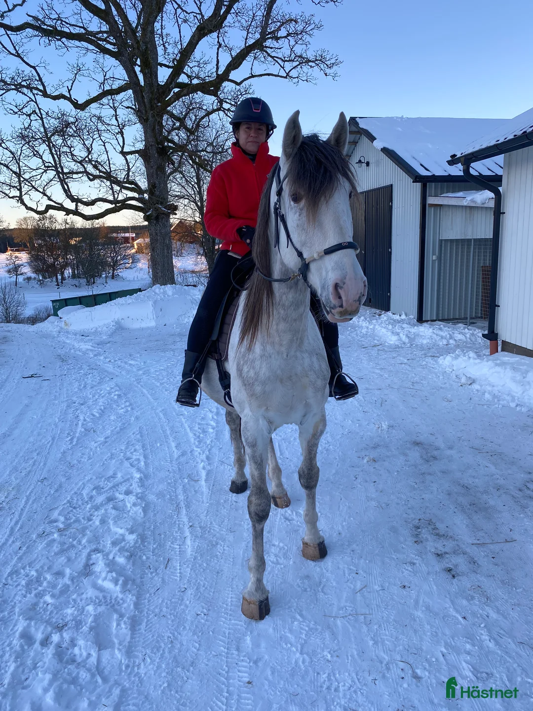 Galleribild {{count}}