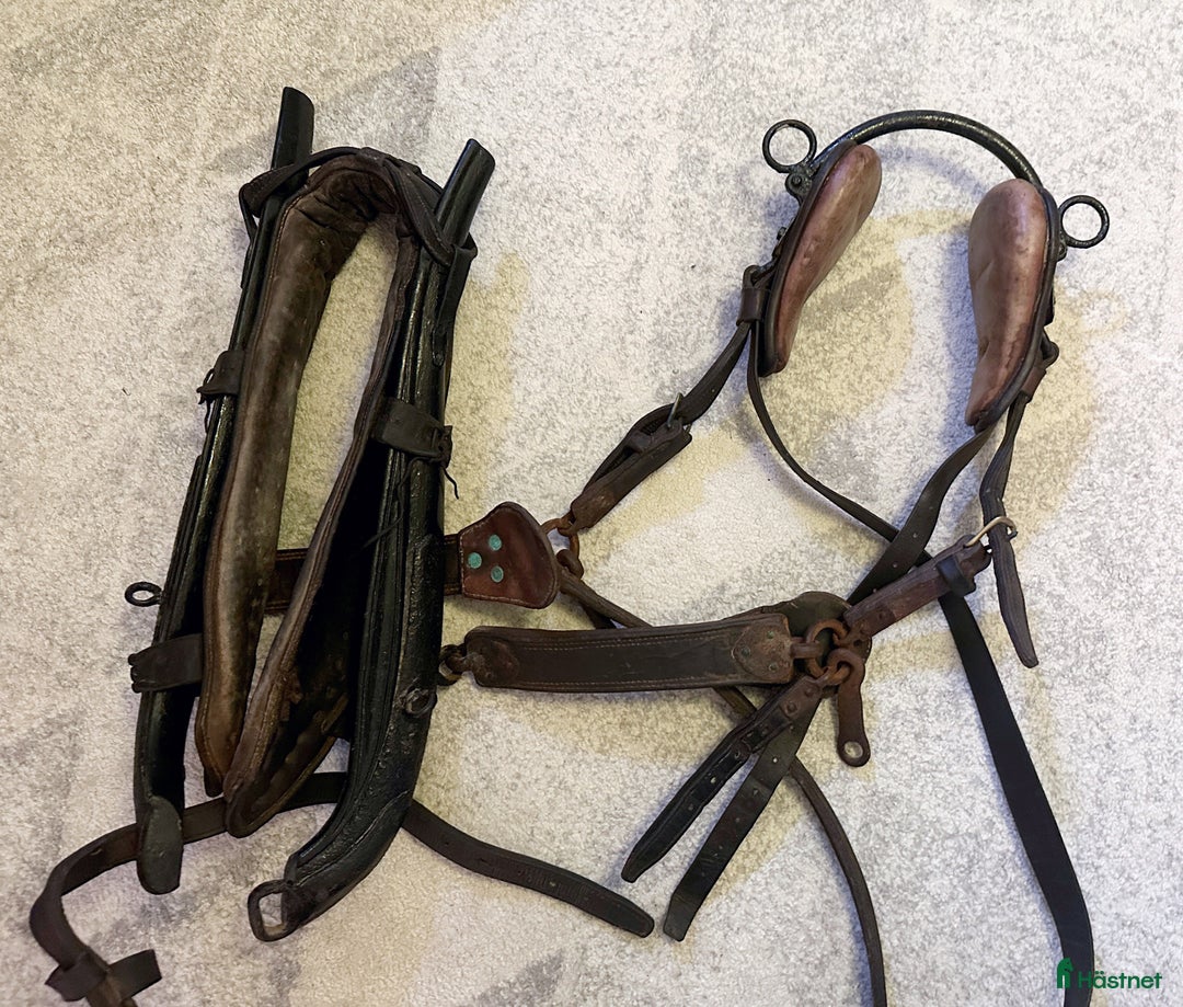 Körselar körning till salu: Loksele  i Malmbäck - Annons 2