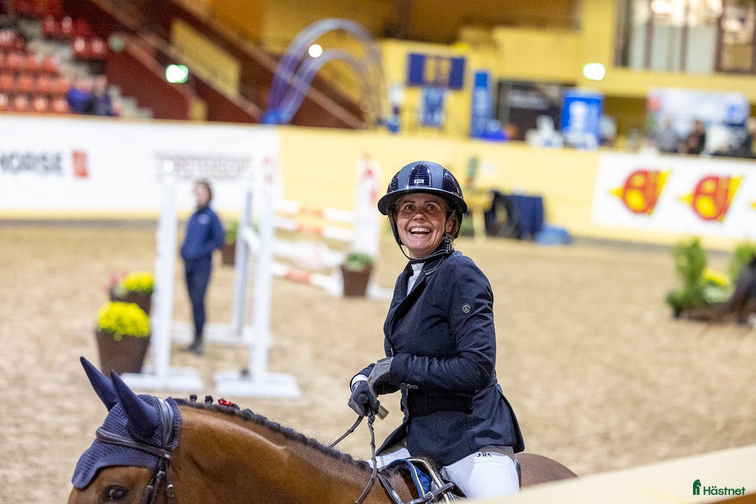  hästjobb finnes: Lundbäck & Cristofoletti letar duktighästskötare ! i Norrköping - Annons 9