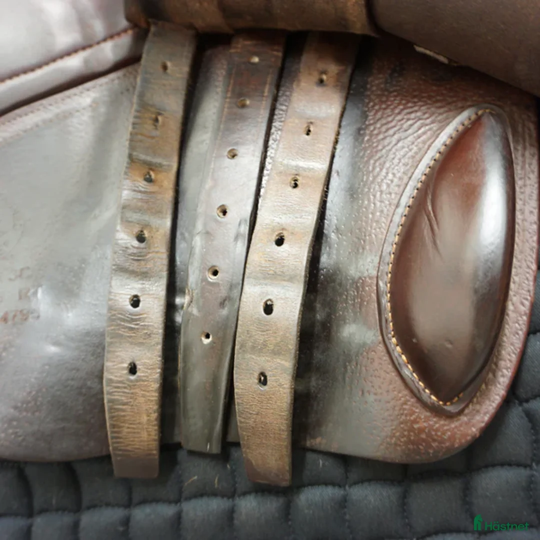 Sadlar hästutrustning till salu: CWD Classic SE02 17,5" i Upplands Väsby - Annons 6