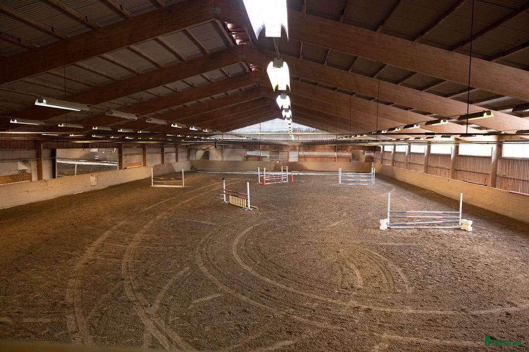  stallplats finnes: 🌺Aspvik 🐎 i Kungsängen - Annons 2