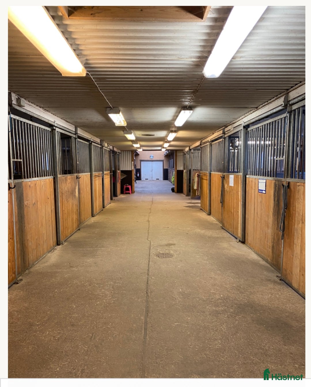  stallplats finnes: Stallplats hos Angelstar stuteri i Timmele - Annons 2