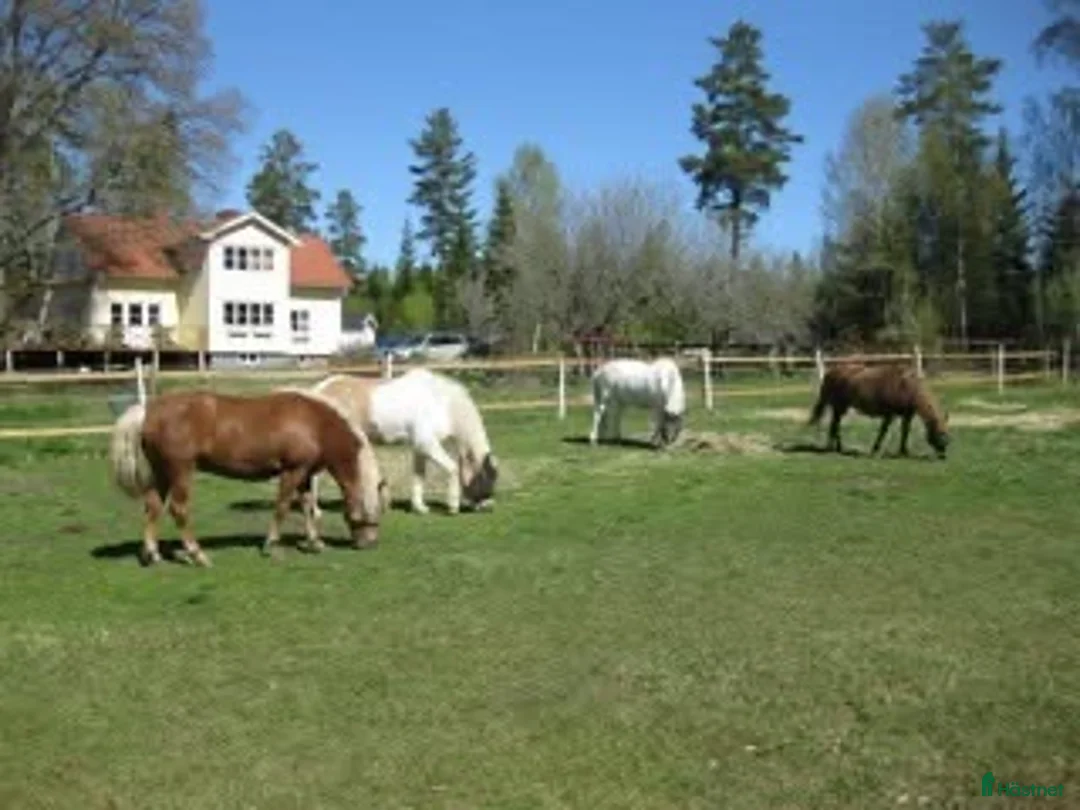  stallplats finnes: Stallplats finnes i Tungelsta, Haninge - Annons 2