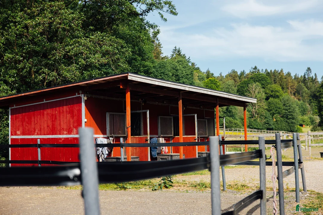  lägenhet till salu: Lägenhet och stallplats uthyres - Annons 16
