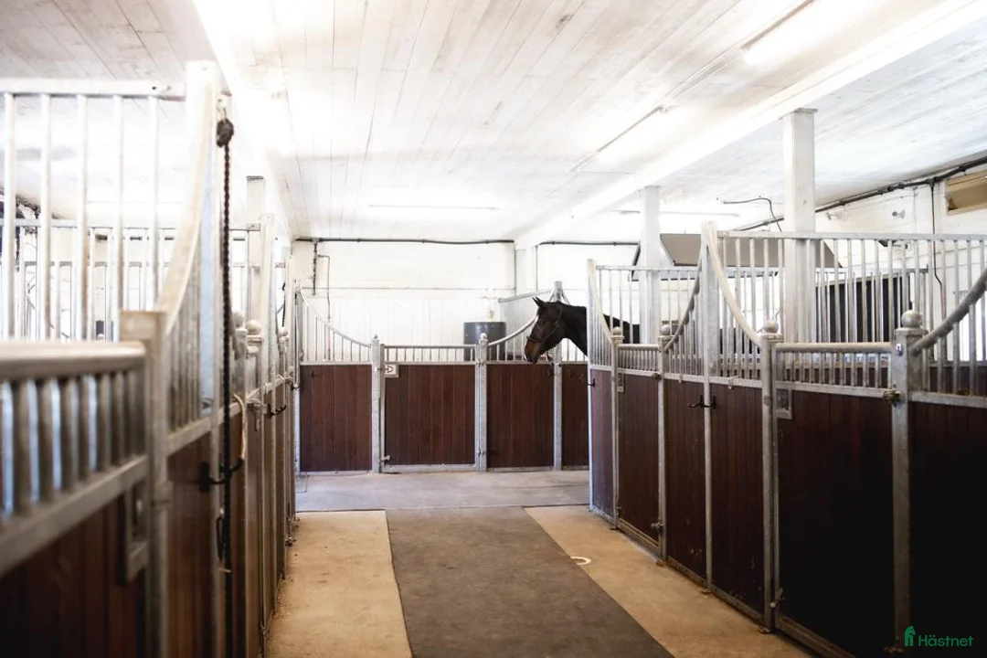  stallplats finnes: Fullservice alla dagar året om - Annons 5